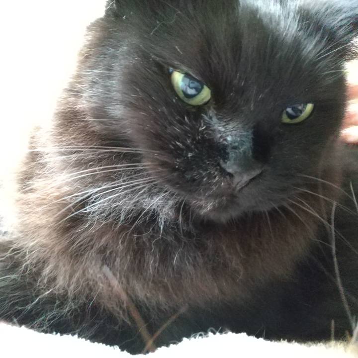 43915639 58e8 4236 bc5a c10cf2ad2deb 1621553771316