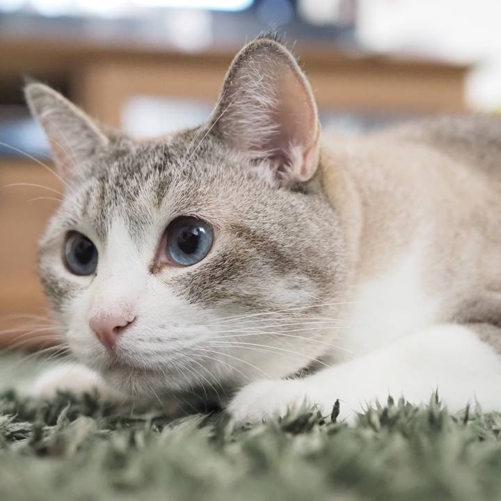 4391a16f e415 44d9 ba67 b2a0c6037e1e 1599285362617