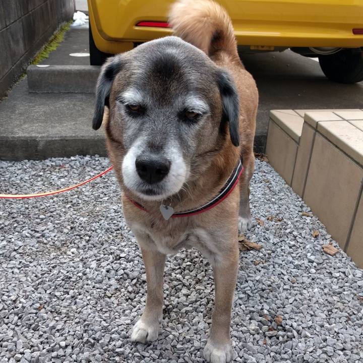 4391a1e2 15c3 4444 ab68 74c7e3cfd2aa 1517444297310