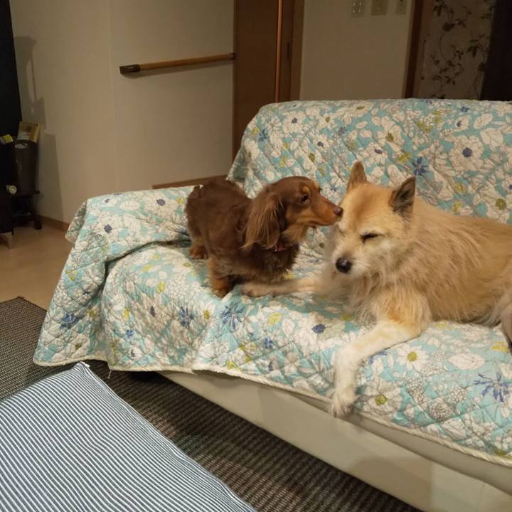 4391f37f 8393 4c87 9527 7bf1c64d4bcb 1551178219588