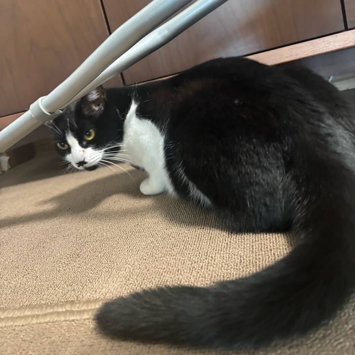 43920907 49a0 438c 97c1 96b8f41170d2 1761012368454