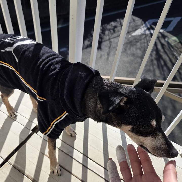 4392127e e696 4ce9 ac4d efa4cfe37955 1765510590624