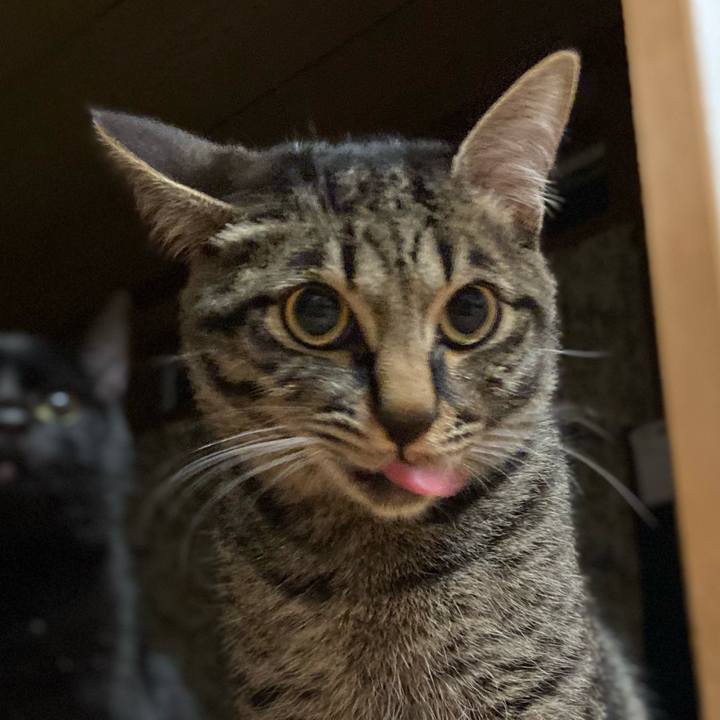 43924197 bdf7 4a4e 96a5 1697b0e34ac2 1619616779283