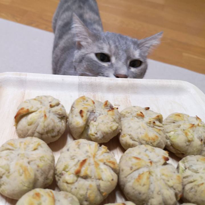 4392479c e727 4e04 96c6 33f3d943fb85 1570198245604