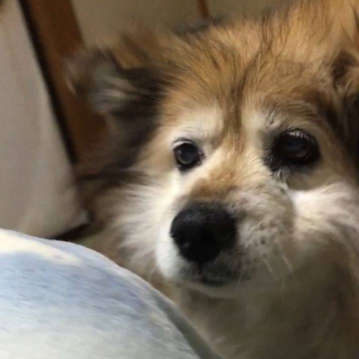 439265b2 b844 4727 925c 43d24a2524dc 1599200818579