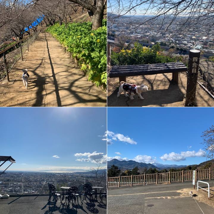 43926d2f 8113 4114 9f96 d04918e86ff5 1672922345187