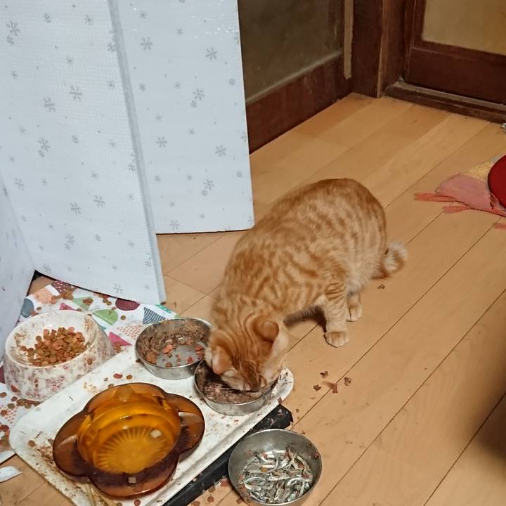 43927892 2752 491d 96a7 92c6ee090da8 1646562150723