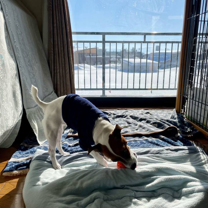 439278a5 ac4a 471f 912a 071c355f803b 1641603455795