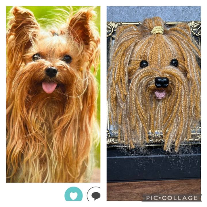 43927e8e ca6c 4a4d ae15 db9c0879eda3 1686135597547