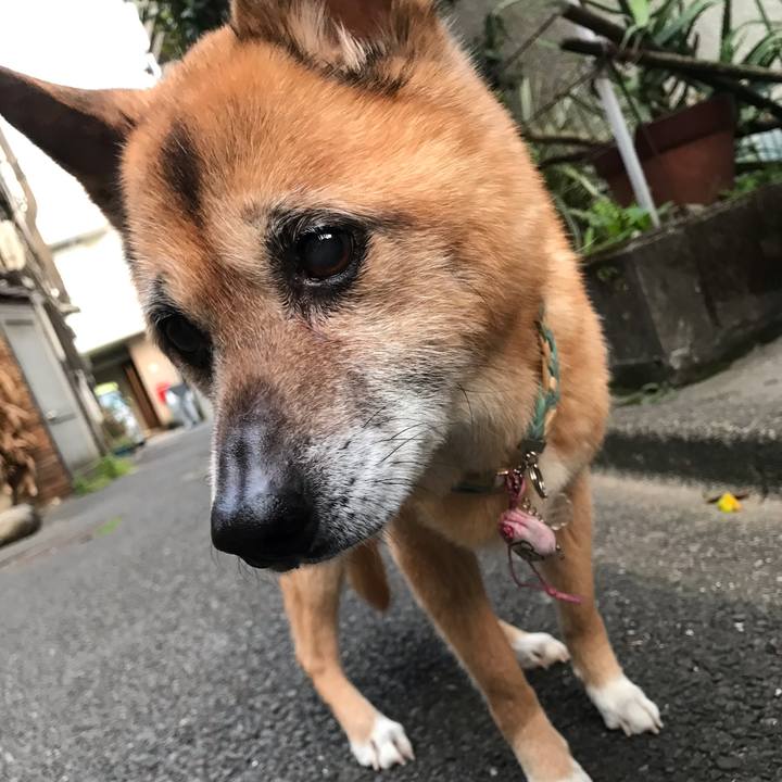 43930179 31ae 4e9e 9abd 6c03128d9e8a 1557220695914