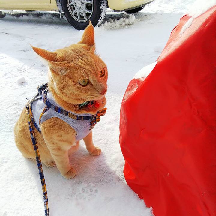 43931003 e183 4c3f 8193 12adbc25d7b5 1577583942922