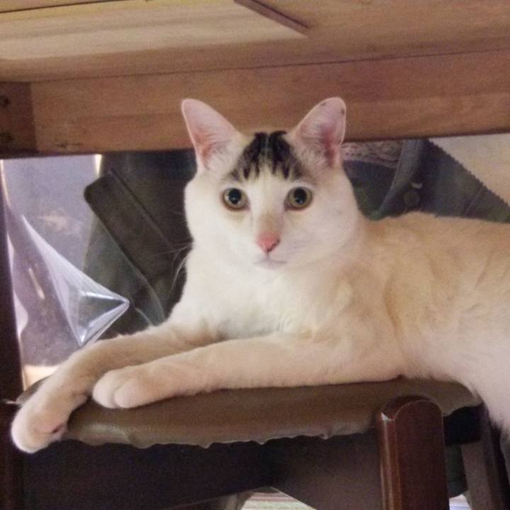 43932430 d824 4228 b589 81106c2e07a3 1552970246229