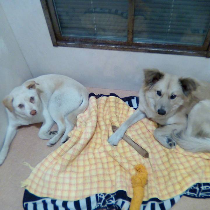 439340d2 9fa1 4348 803a 69126b1199b2 1513520734110