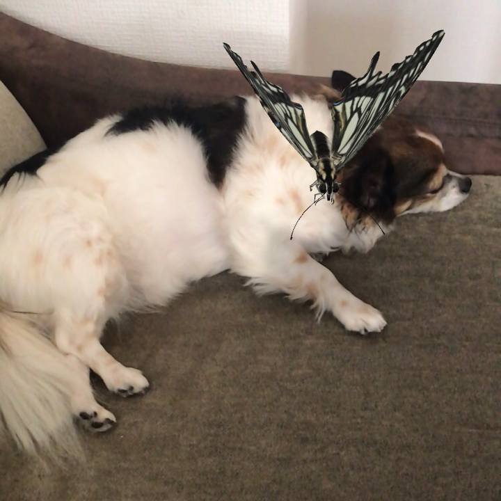 439359c0 8997 45d0 bc47 34156f3b7fb2 1603935264302