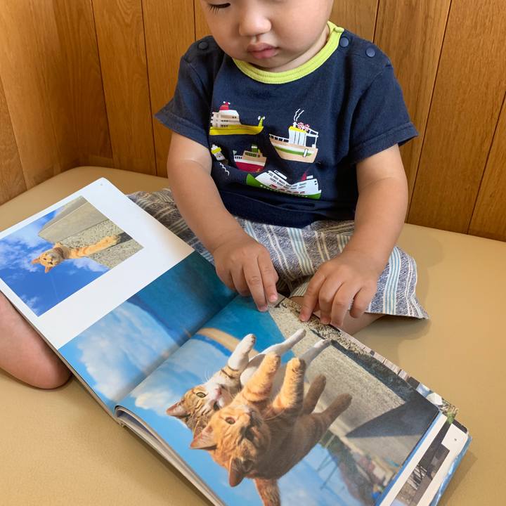 4393796a d251 42a3 bdad f8993eda8e03 1568427759404