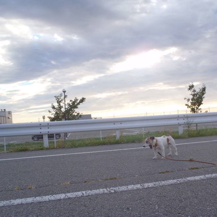 43937ca9 2763 441c b937 85c278054ae9 1536838807705