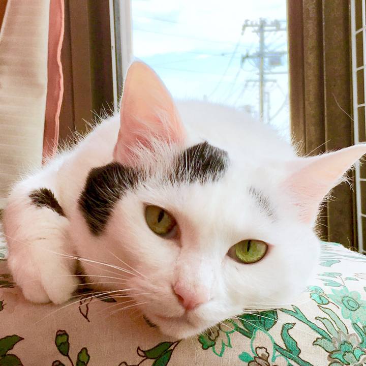 43937ef5 0dc9 4861 9572 9debac9f9e9e 1566703873142