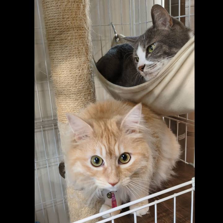 4393bbe1 fbe2 4a86 bb87 e8f496f4679b 1755419103117