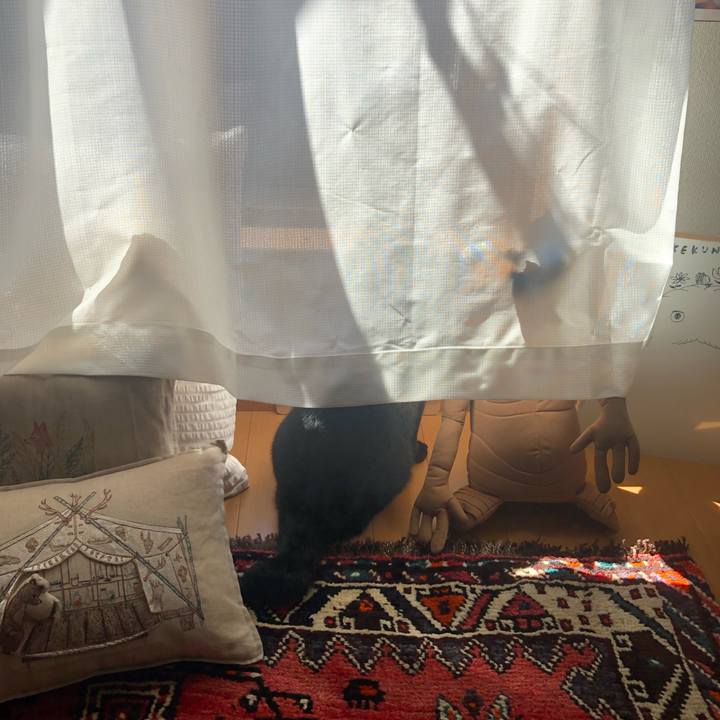 4393db7b bc0a 42cc ad88 7c521d2a677d 1570929537459