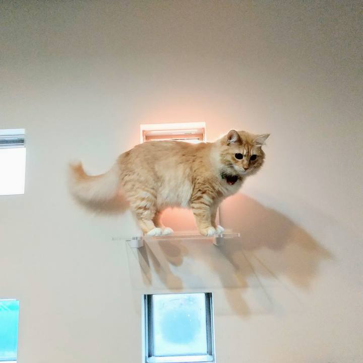 4393fe3b f596 4565 85f5 821513332dc7 1634943095627