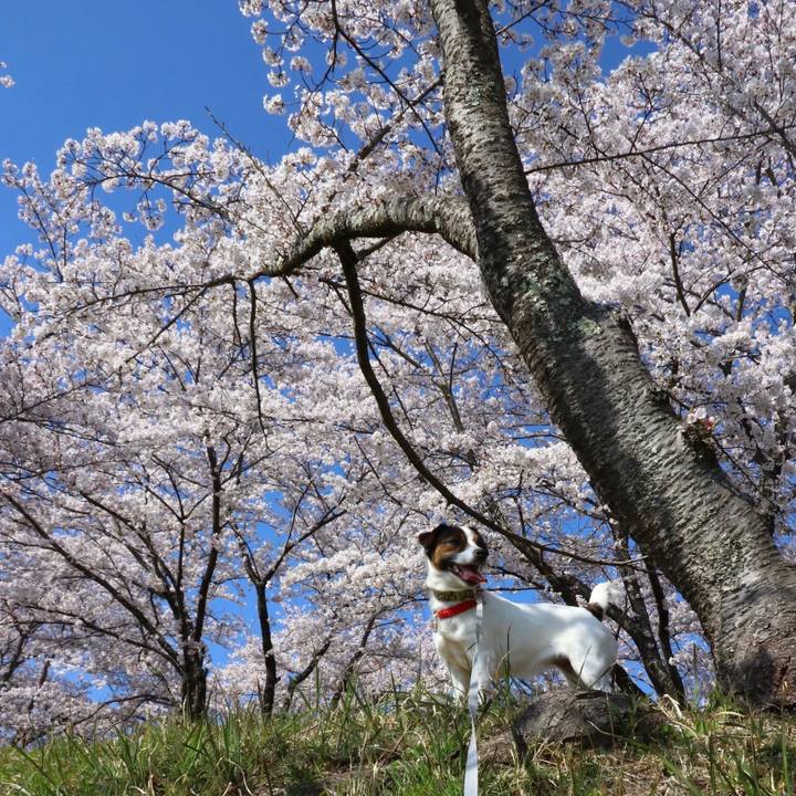 43942a17 15c8 46b3 b572 86cd0adb7b91 1581593279101