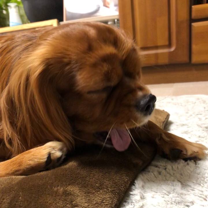 43944894 6d3e 49d7 a015 a8c87e6bba53 1551823391386