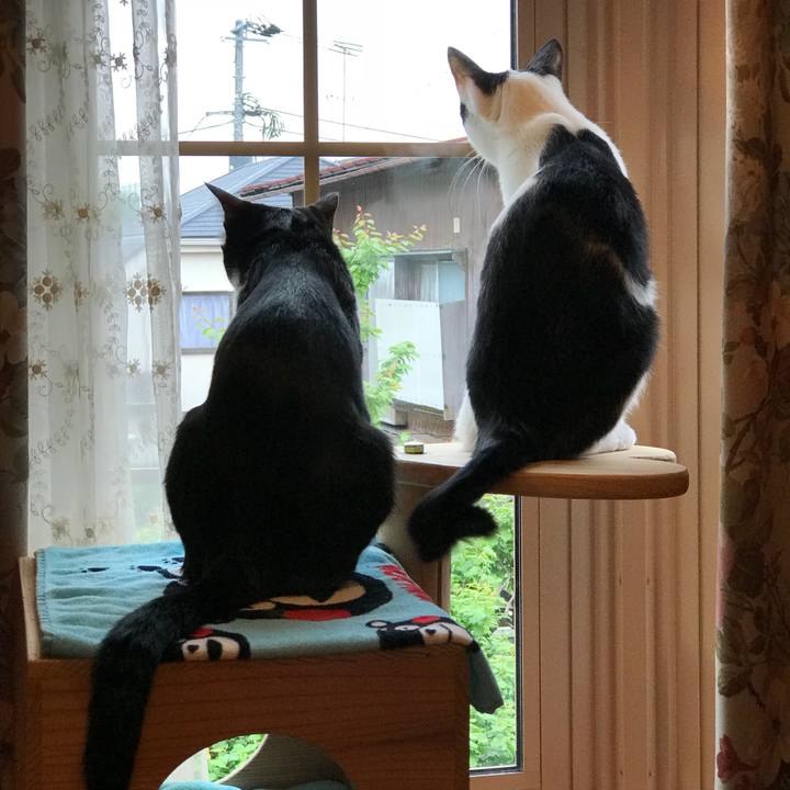 43944afe fbb3 4e20 a8ad 932e4d3fafe0 1524088203091