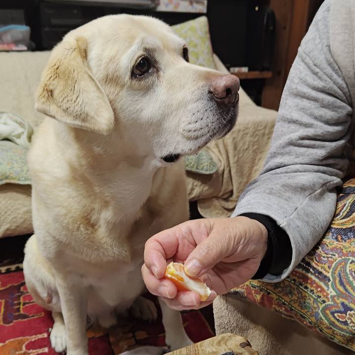 4394878d d49e 4f3f a025 58e61f365396 1764760481021