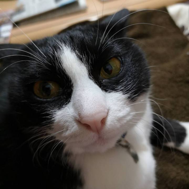 43948b1f a9c4 4f81 a2b7 9cbc669ed632 1638506879272