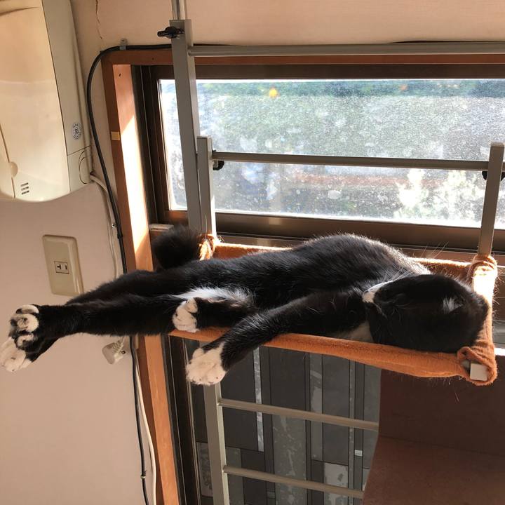 43949c45 caee 4a74 ab17 14a78ababfcc 1520825138599