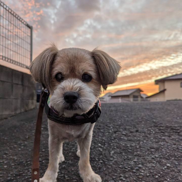 4394b6ea fd93 4b56 b459 ed0915ed3b2b 1729721537649