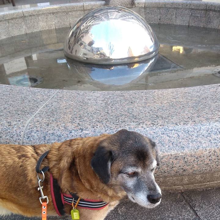 4394cdc3 758b 4569 a9ff 58f02018d8b2 1548114903898