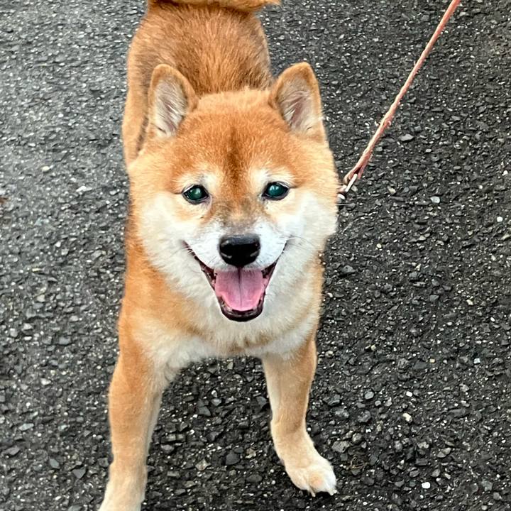 4394e54c 6cf3 4ee5 8664 5d6c89615b1f 1760691066004