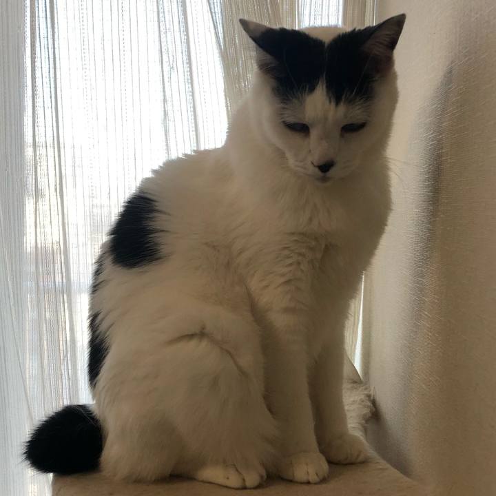 4394f050 2544 45ec afdc c13267c12e5d 1574984107791