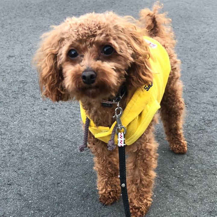 439519b7 578c 4830 9c21 f8ed6bb09a6c 1523178410600