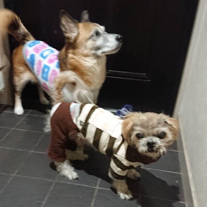 43951b9a 8743 4449 8238 831fa9109ef5 1558625557581