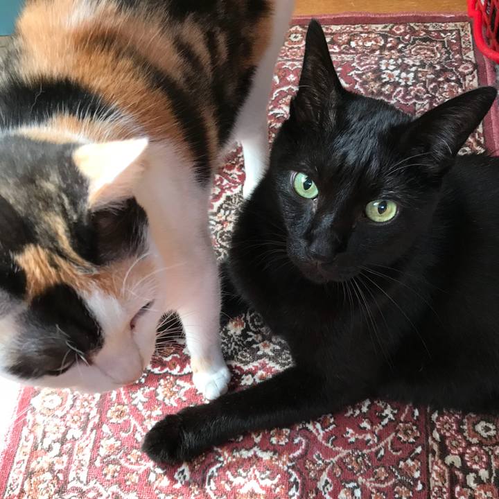 43952c28 0d7b 4784 a693 c56a62ef38c9 1536971770404