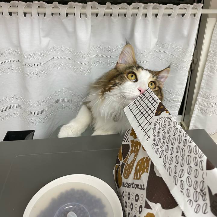 439571a2 075e 49d6 88e5 2282c7aa96c6 1642758176712