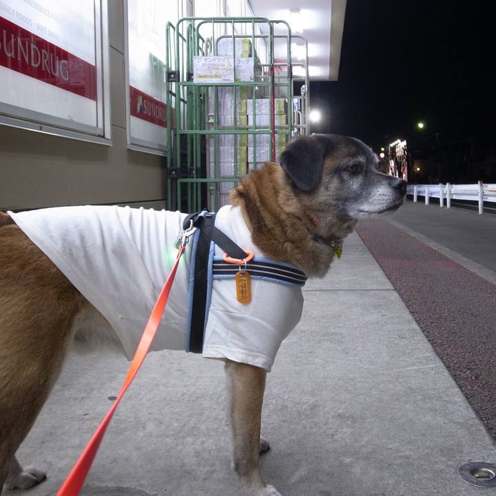 43959612 1498 4a4c b044 9158e2f2bcd4 1597275137282