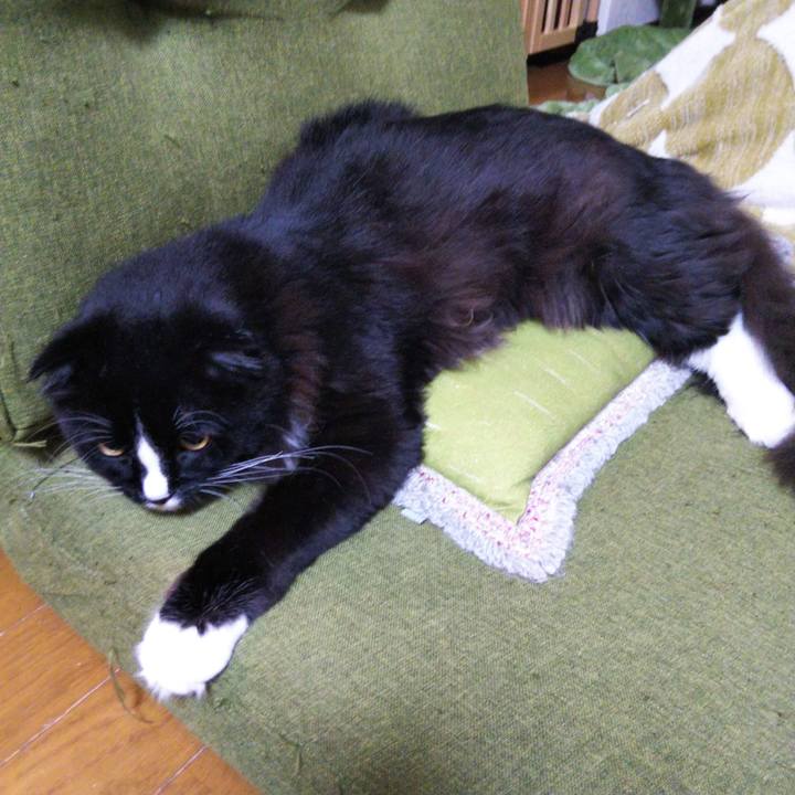 4395c012 b2e4 45cc 8408 50c1e90d7b4b 1651372590678