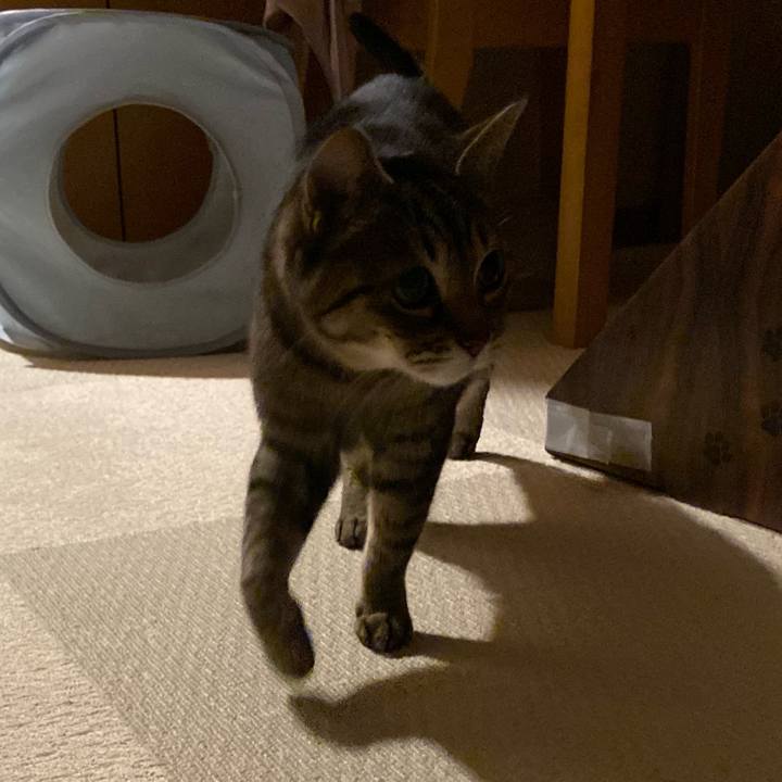 4395d15e 8aa1 466c 90d8 4d18b5b26484 1762272850643