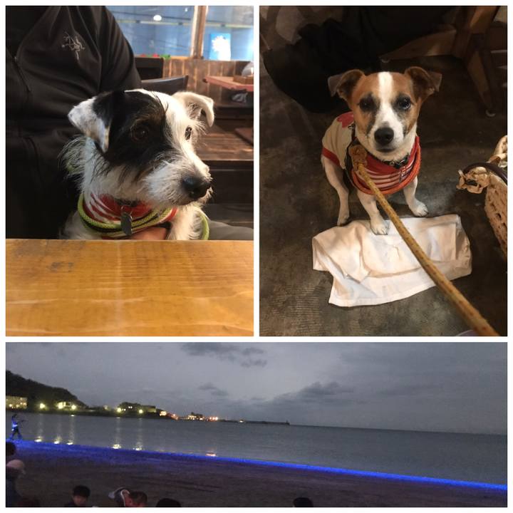 4395d5dd d954 4fc2 a9ce f70475921180 1539432473557