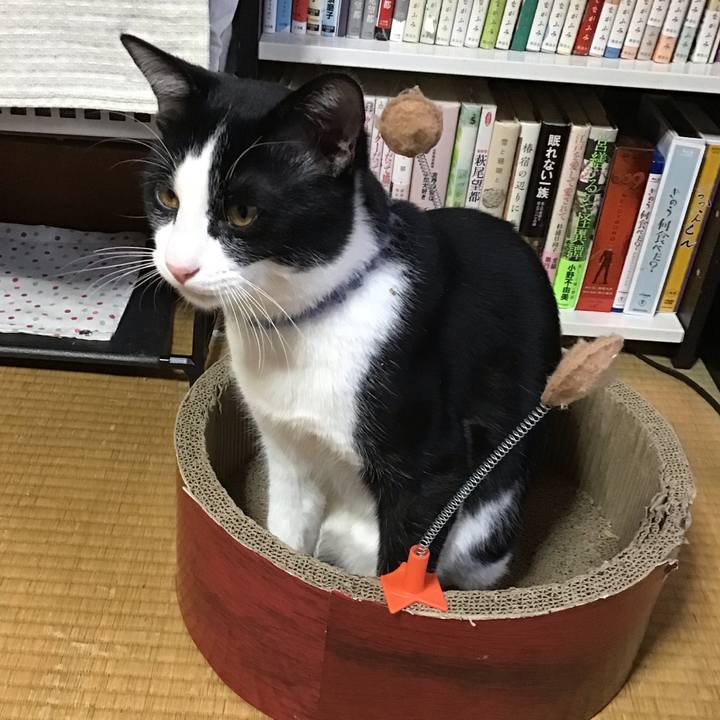 4395fcbe 8162 4c5e 8ba1 1f8bb984b784 1641870400697