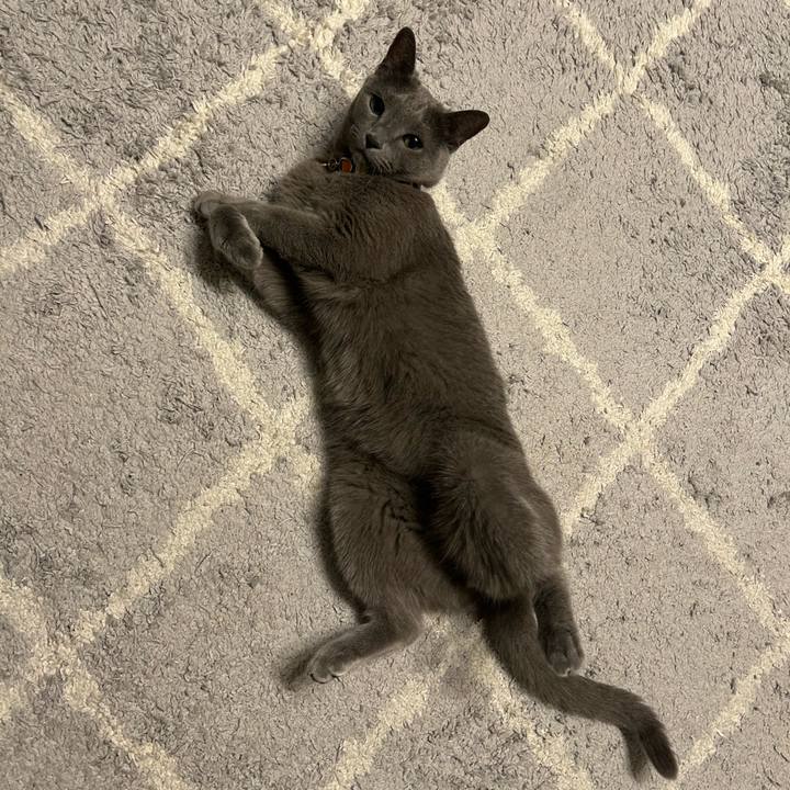 43961f91 8315 4599 a039 4030f97b0116 1756466850465