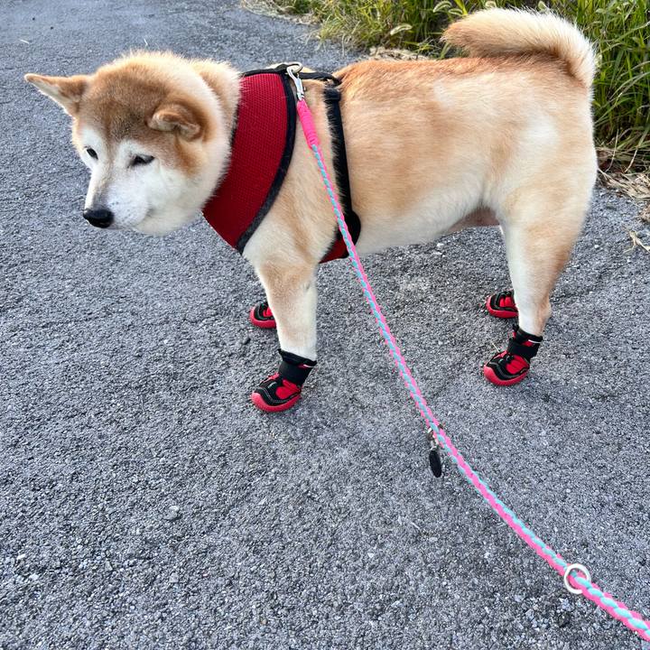 43962eee f452 4794 a404 d0fc283c2715 1733468311118