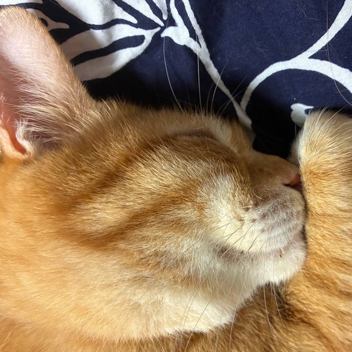 439645d9 d5af 40e4 a11a da231b9336b7 1758972760454