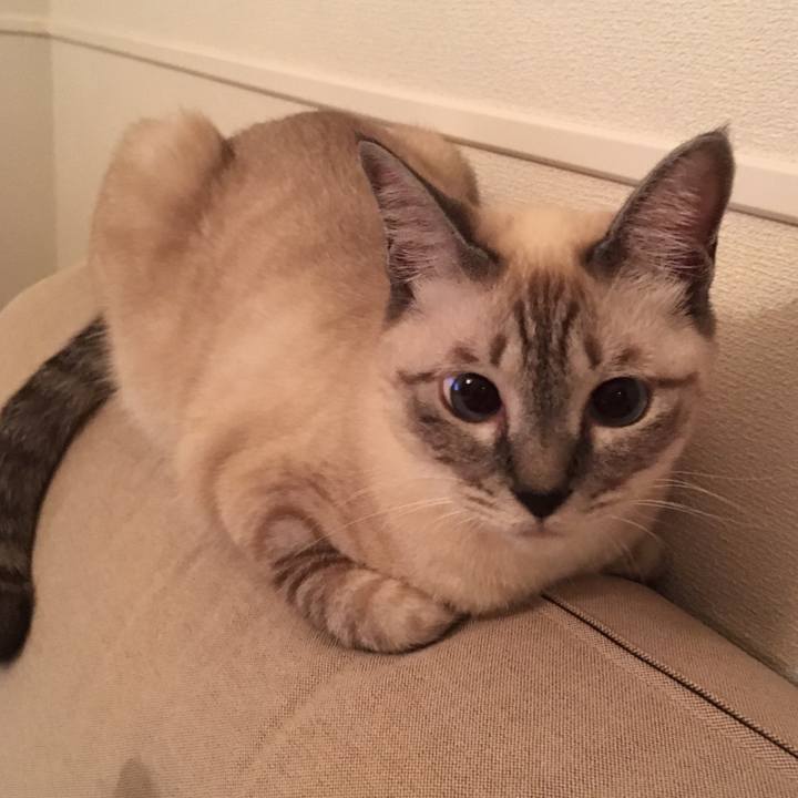 439649d9 01d2 47c5 9424 4275f4c7fcf7 1569501691467