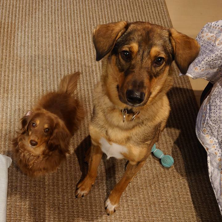 43965862 8105 44e5 a029 bb5241ab4aa3 1702907293538