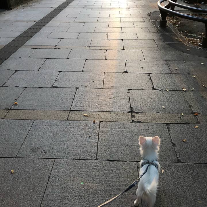 439680a9 61c5 4191 aae4 930b739557d2 1540019772947