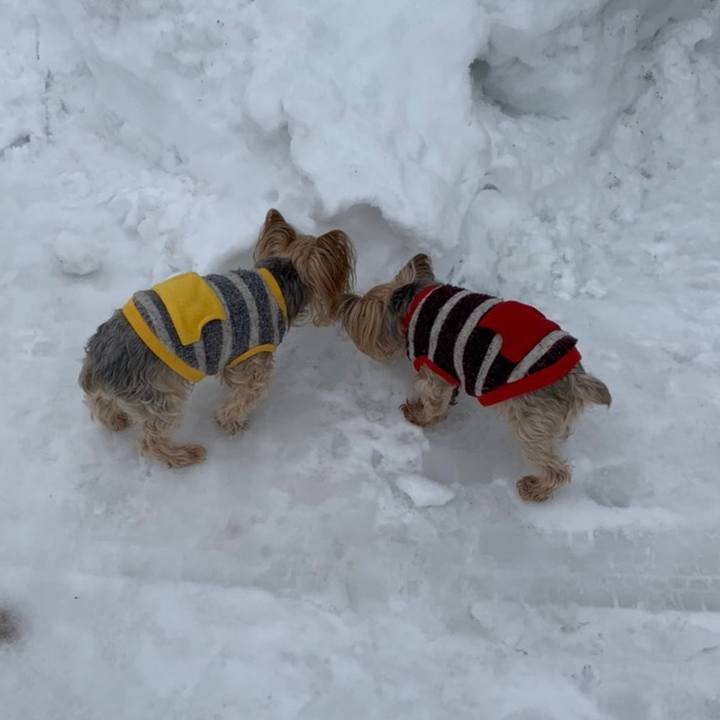 4396940e 2a64 413e b2cd 6eaac7ea4070 1614335330969